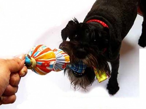 how-to-make-dog-toys