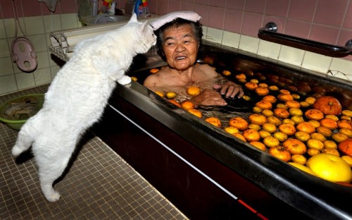 woman-cat-bath_2407642k