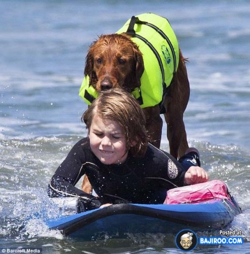 funny-dogs-surfing-on-wave-water-sea-pics-images-3