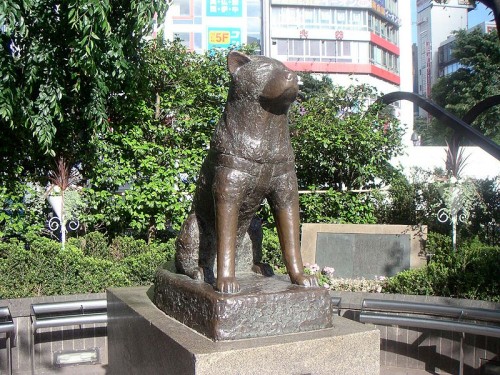 800px-Hachiko200505-2