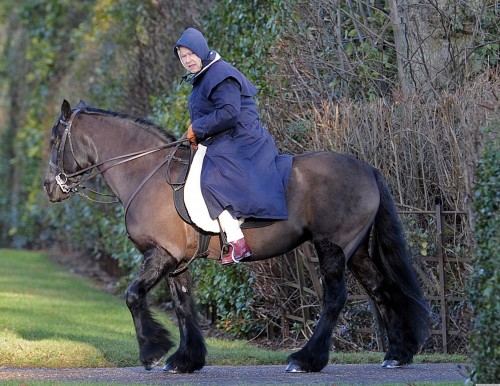 QUEEN-ELIZABETH-HORSE