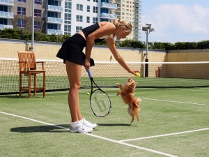 maria-sharapova-dog-Dolce