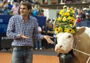 roger-federer-cow-1