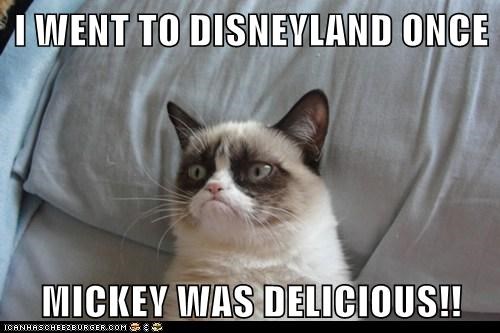 Am fost la Disney Land o data, iar Mickey Mouse a fost delicios! 