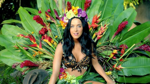 katyperryroar