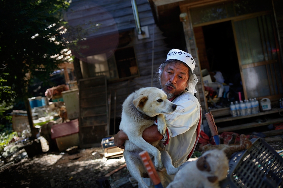 pb-131003-fukushima-dogs-da-01.photoblog900