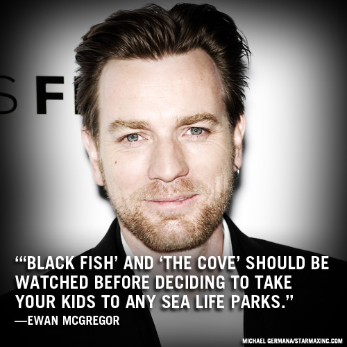 Evan McGregor : Ar trebui sa vizionati Blackfish inainte de a va decide sa va duceti copiii la orice fel de parc acvatic. 