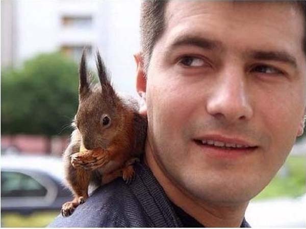 officer-squirrel