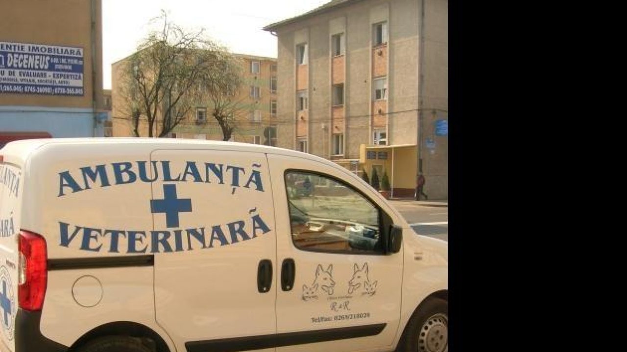 hipotermie și penis de ce nu pot simți penisul