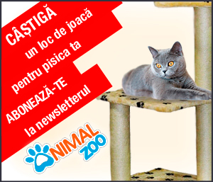 Concurs abonare newsletter Animalzoo.ro