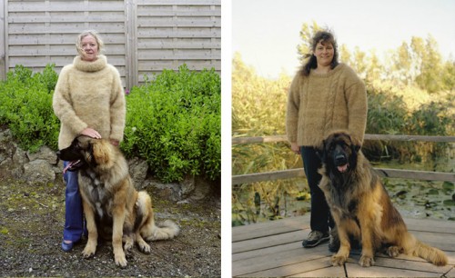posesoare de pulovere din blana companionilor canini