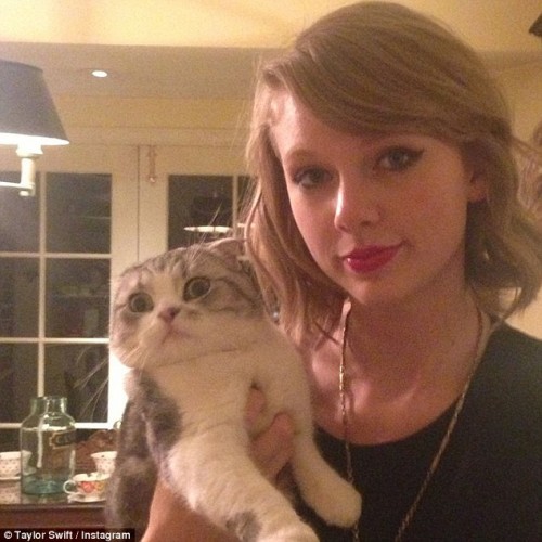 Taylor Swift si Meredith Grey