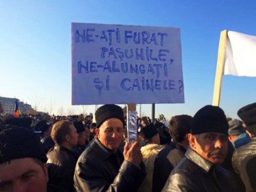 INEDIT! Ciobanii au protestat, la Bucuresti, in apararea cainilor de la stana!