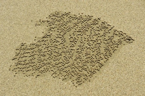 sand2