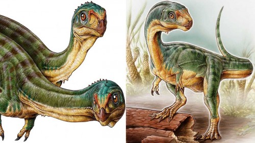 Chilesaurus diegosuarezi