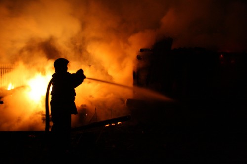 Fiecare an are dementii lui! Un individ si-a incendiat cainele pe un altar, in locuinta!