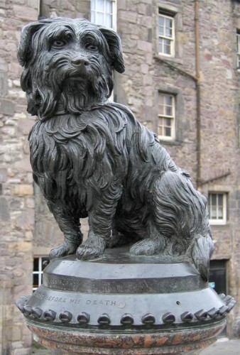 Dovada Uimitoare A Devotamentului Canin Greyfriars Bobby Cainele