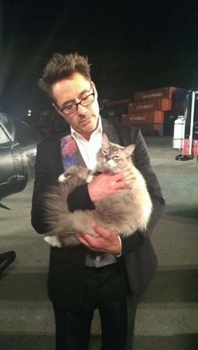 Robert Downey Jr. şi pisica sa