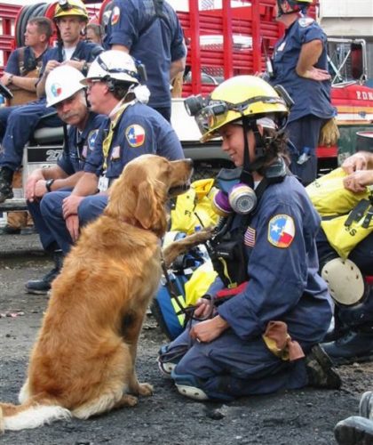 sursa foto: /www.today.com Denise Corliss si cainele salvator Bretagne, in "Ground Zero", New York, dupa atentate