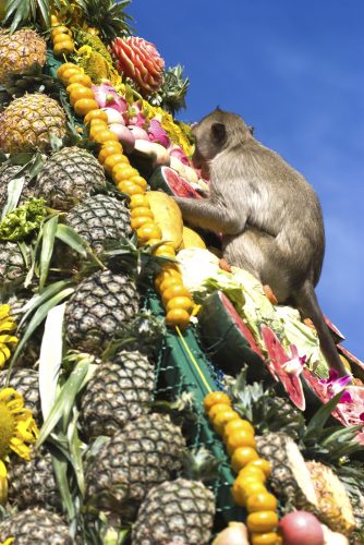 lopburi_monkey_banquet_gnomeandi-5