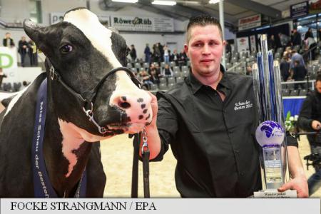 Câștigătoarea unui concurs de frumusețe din Germania – „Super-vaca” Madame