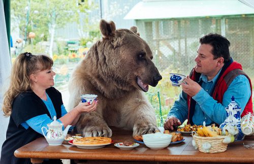În Rusia! Un cuplu au adoptat un animal de companie mai puţin obişnuit. Viaţa lor s-a schimbat RADICAL I FOTO-VIDEO