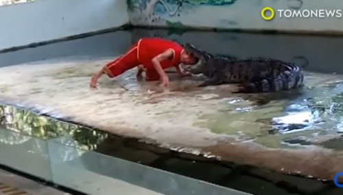 Imagini ȘOCANTE filmate la o grădină zoologică din Thailanda. Vă avertizăm că imaginile vă pot afect emoțional! I VIDEO