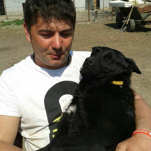 Nici nu bănuiești ce-și dorește de ziua lui Marius Chirca sau Kola Kariola, cum este cunoscut în lumea iubitorilor de animale