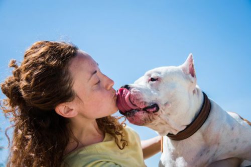 Lucruri pe care să nu le faci NICIODATĂ animalului tău de companie!