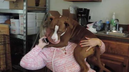 Acest câine a trăit în condiţii groaznice, dar priviţi-l ce face când stăpâna vorbeşte la telefon