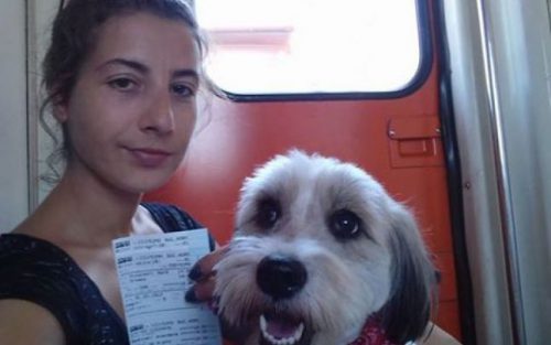 Reacția unei iubitoare de animale: ”Nenea domnu’ ministru Cuc, avem şi noi o doleanță la CFR. Dacă tot plătim bilet întreg pentru persoană şi patruped, am vrea nişte locuri în tren…”