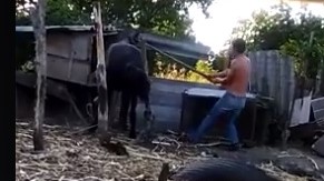 Imagini cu IMPACT EMOȚIONAL puternic! Un bărbat a fost filmat în timp ce bătea cu bestialitate un CAL