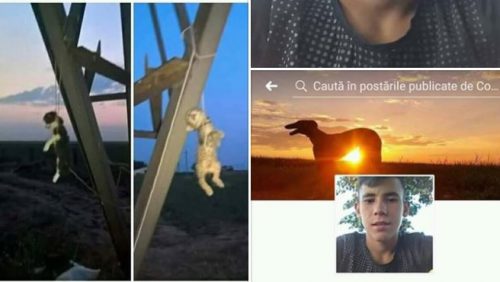 Cruzime greu de descris! O FOTOGRAFIE cu două animale SPÂNZURATE îngrozește rețeaua de socializare Facebook