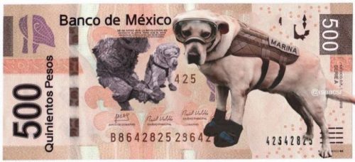 De ce vor MEXICANII să o pună pe FRIDA pe bancnota de 500 de pesos