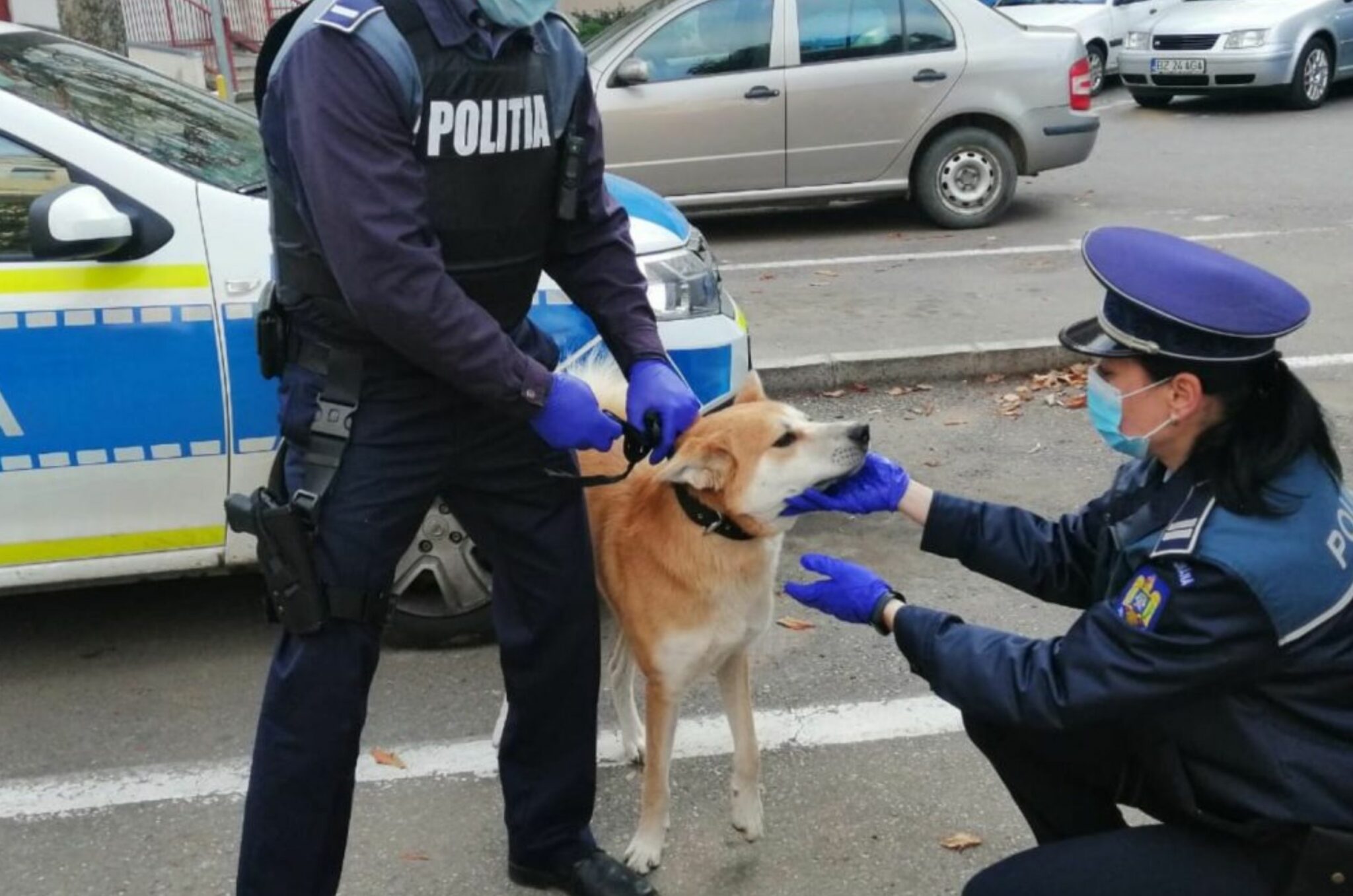 Poliția Animalelor