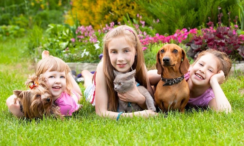 O familie cu animăluțe