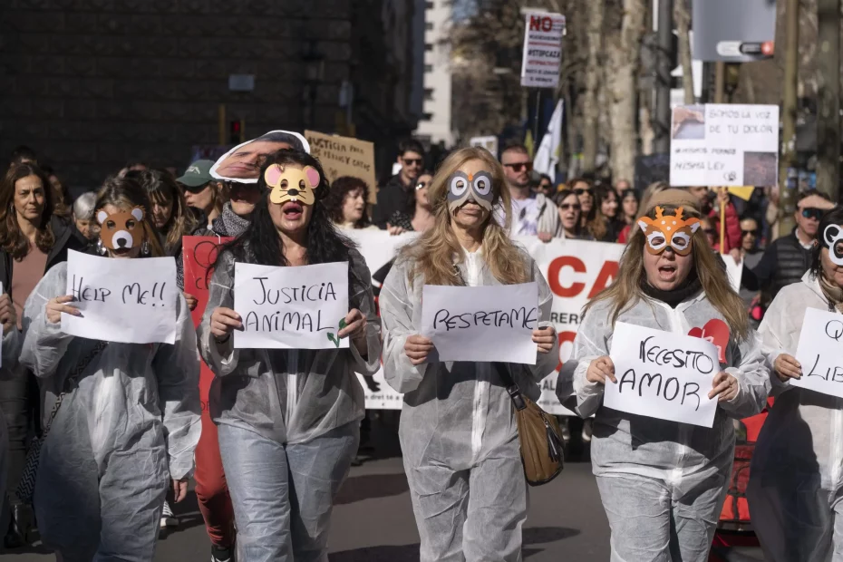 reuters.com; proteste in Spania pentru drepturile animalelor