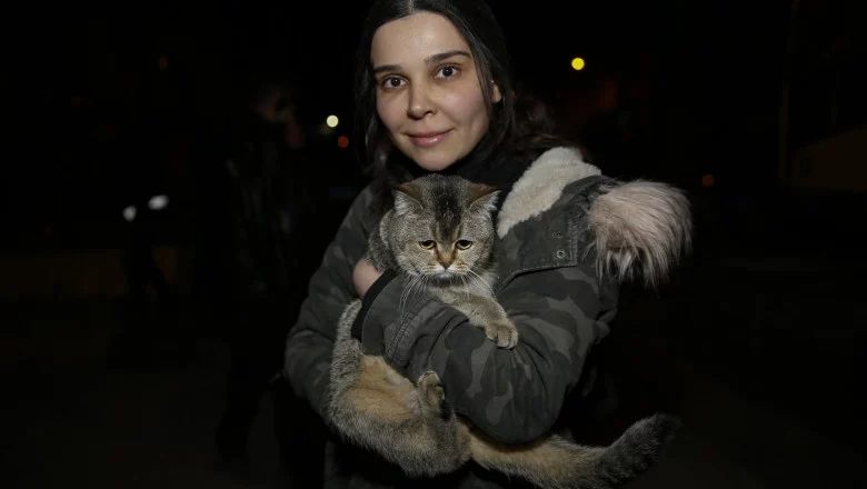 sursă foto: digi24.ro; o pisică a fost salvată după 17 zile