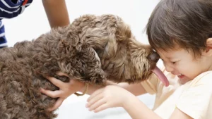 sursă foto:livescience.com; Un câine jucăuș linge fața unui băiat tânăr