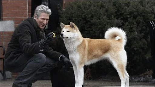 Richard Gere și un exemplar din rasa Akita Inu ăn filmul Hachi a dogs tale; sursă foto: australiandoglover.com