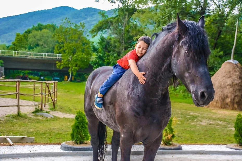 sursă foto: turistprinromania.com