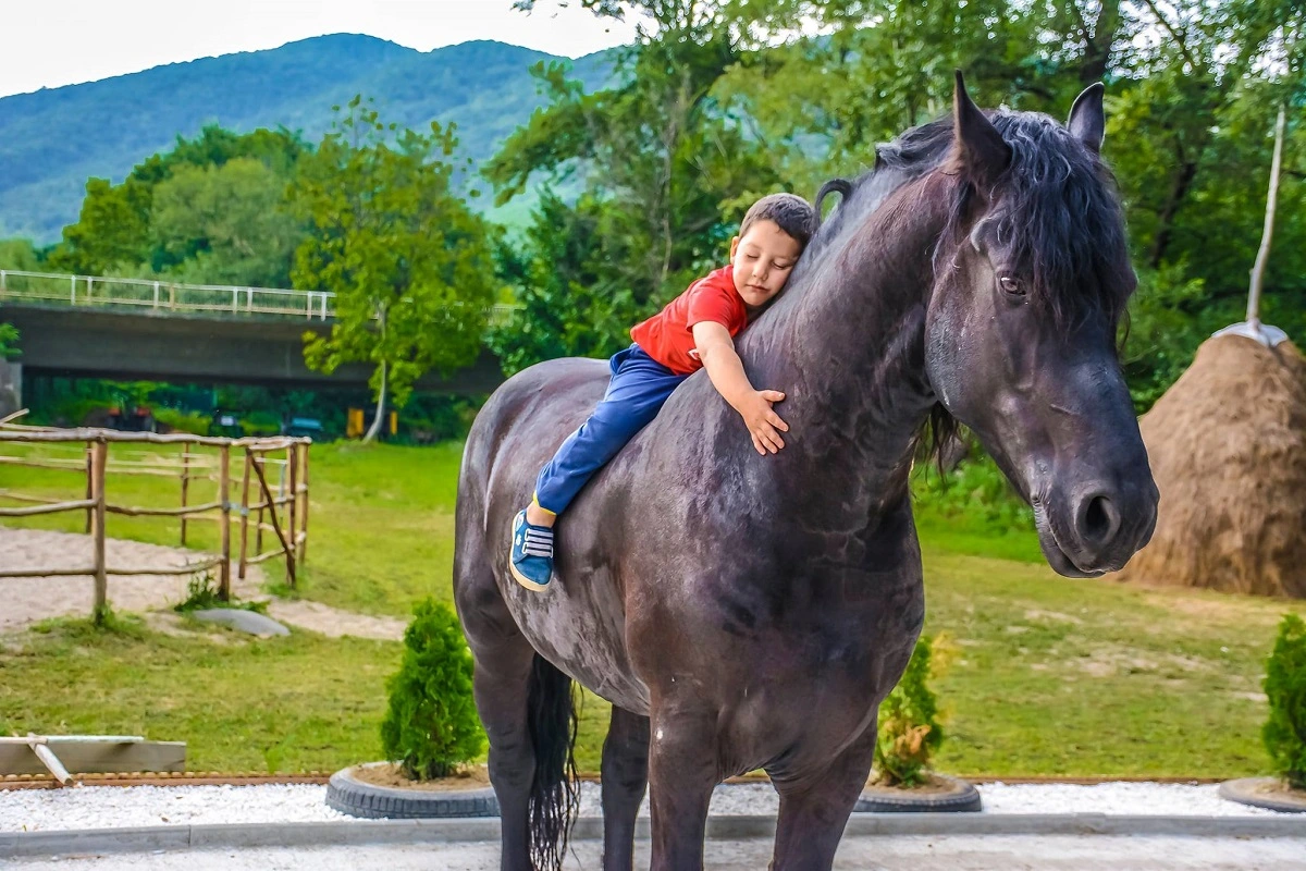 sursă foto: turistprinromania.com