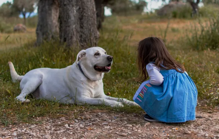 Un câine cu un copil, sursă foto: pethelfpul.com