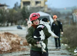 foto: worldanimalnews.com; Un alt caine salvat de sub ruine în Turcia