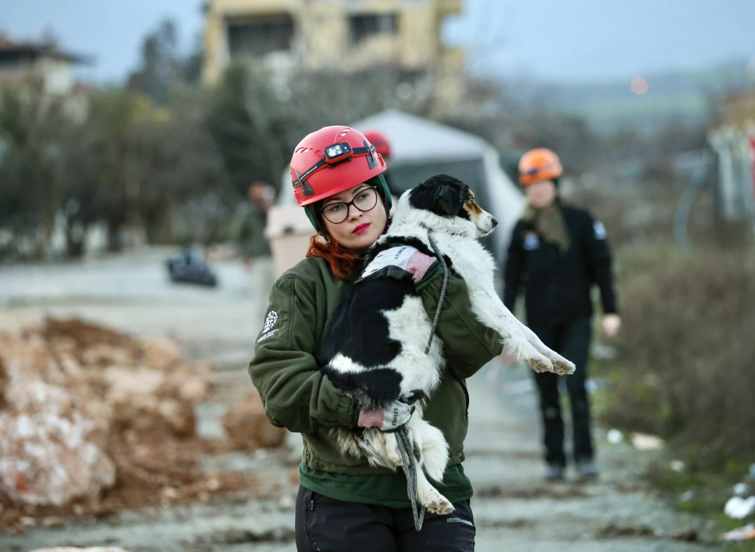 foto: worldanimalnews.com; Un alt caine salvat de sub ruine în Turcia