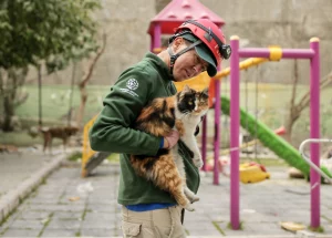 Sursă foto: worldanimalnews.com; pisica salvată de sub ruinele clădirilor