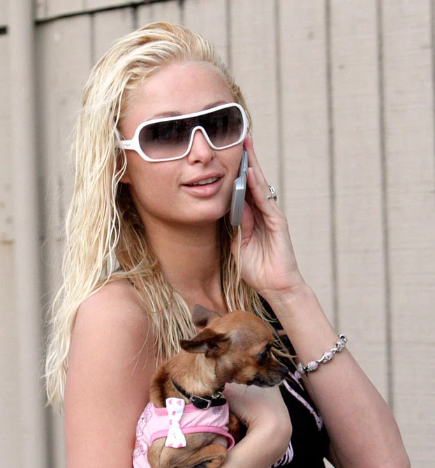 Paris Hilton și animalul ei de companie; sursă foto: europetnet.com
