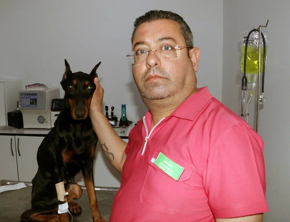 Cățelușa SIla îngrijită de veterinar; sursă foto newarab.com