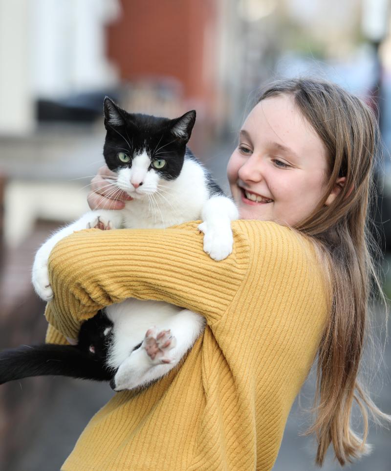 Harry, un pisic furăcios ; foto: goodnewsnetwork.org