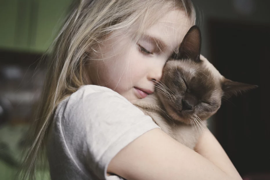 Pisica se cuibărește în brațele companionului său uman; sursă foto: Getty Images